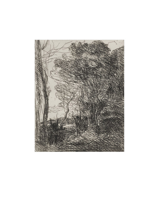 Ink Forest III