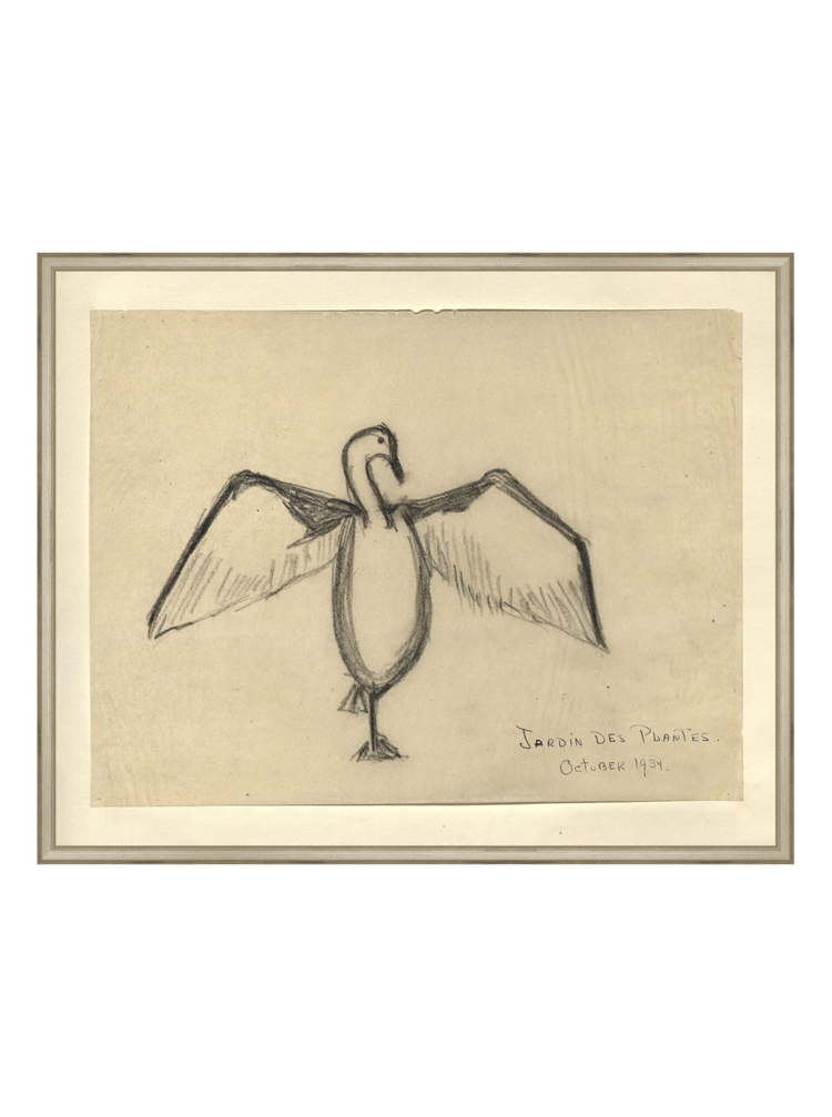 The Great Cormorant HoJ 2