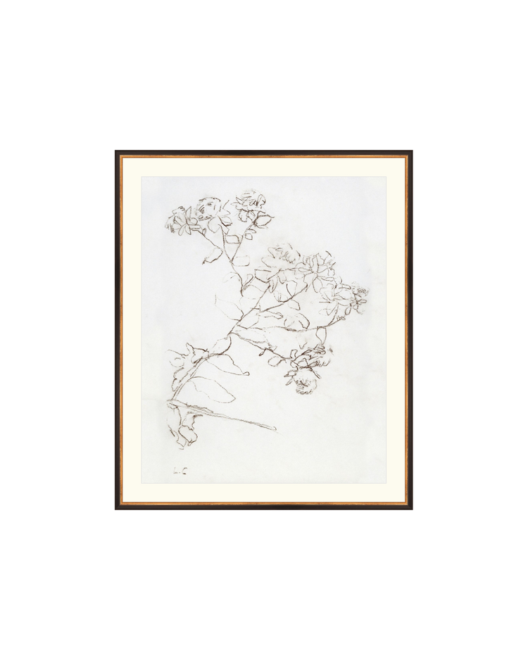 Botanical Study II HoJ