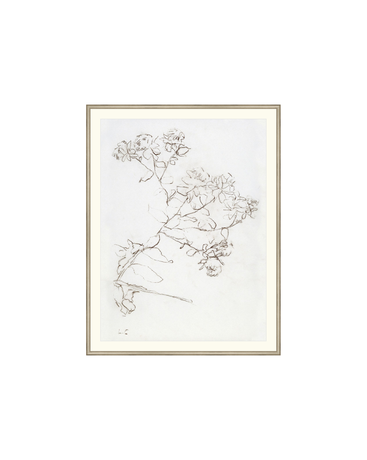 Botanical Study II HoJ