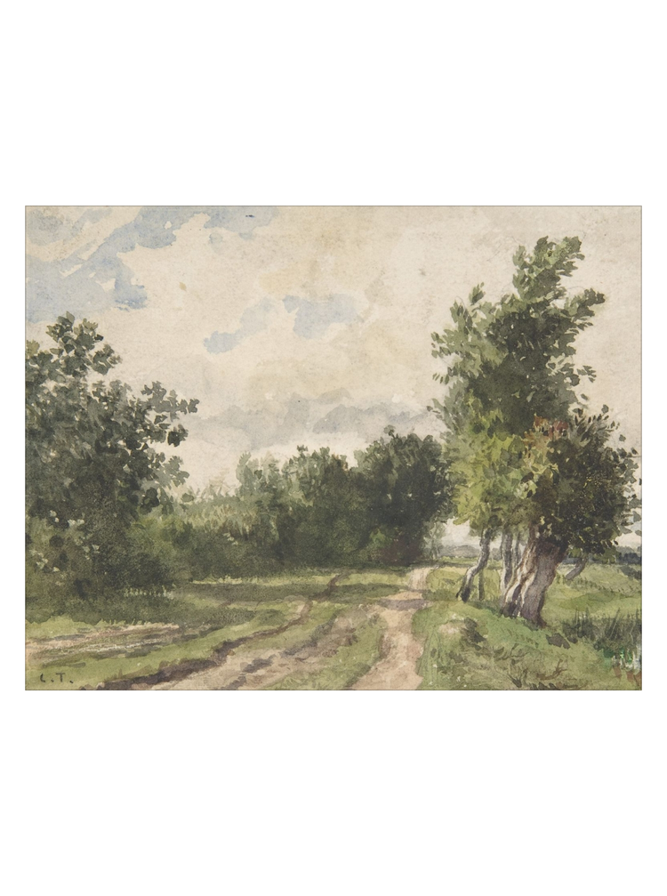 Roads Landscape HoJ 2