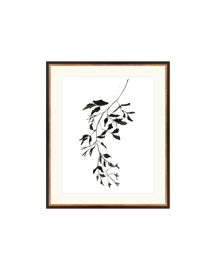 Botanical Ink Study II HoJ