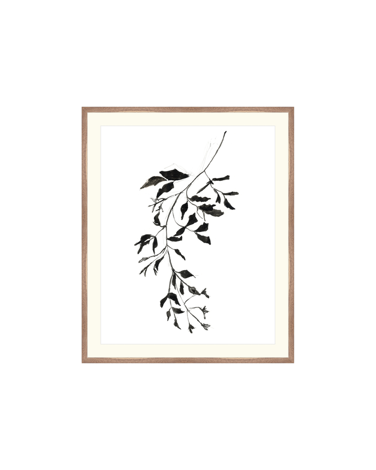 Botanical Ink Study II HoJ