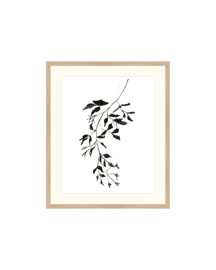 Botanical Ink Study II HoJ