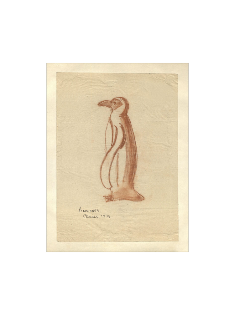 Penguin Sketch HoJ 2