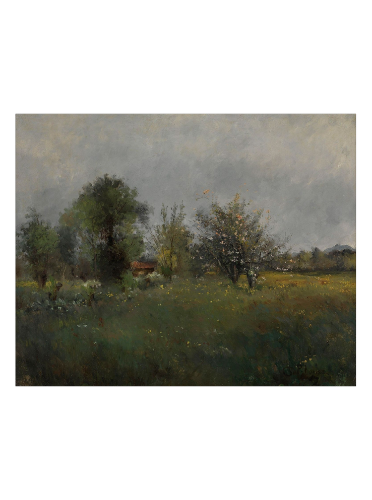 Spring Meadow II HoJ 2