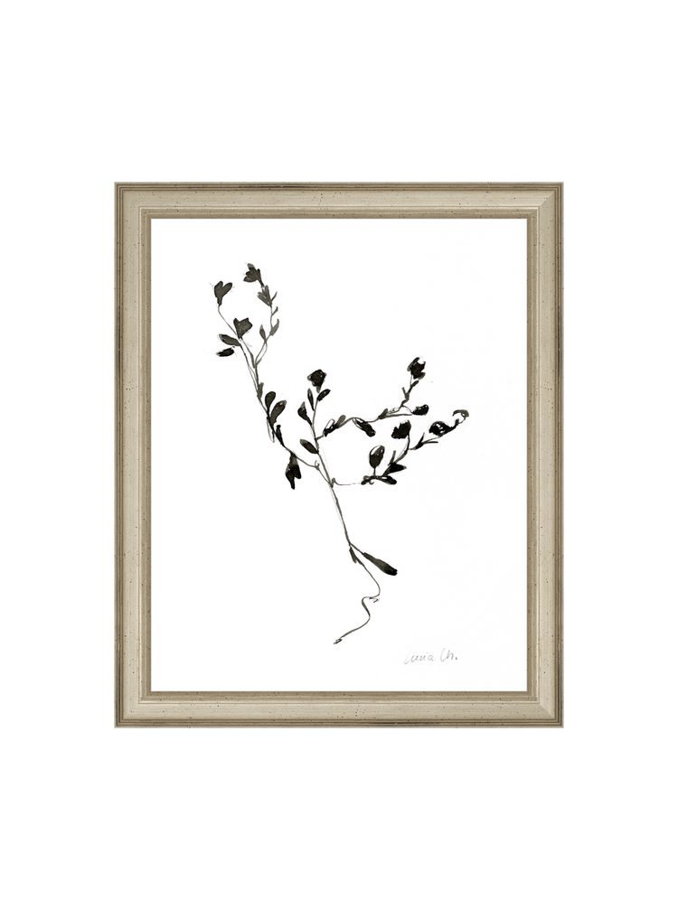 Sketched Botanical HoJ 2