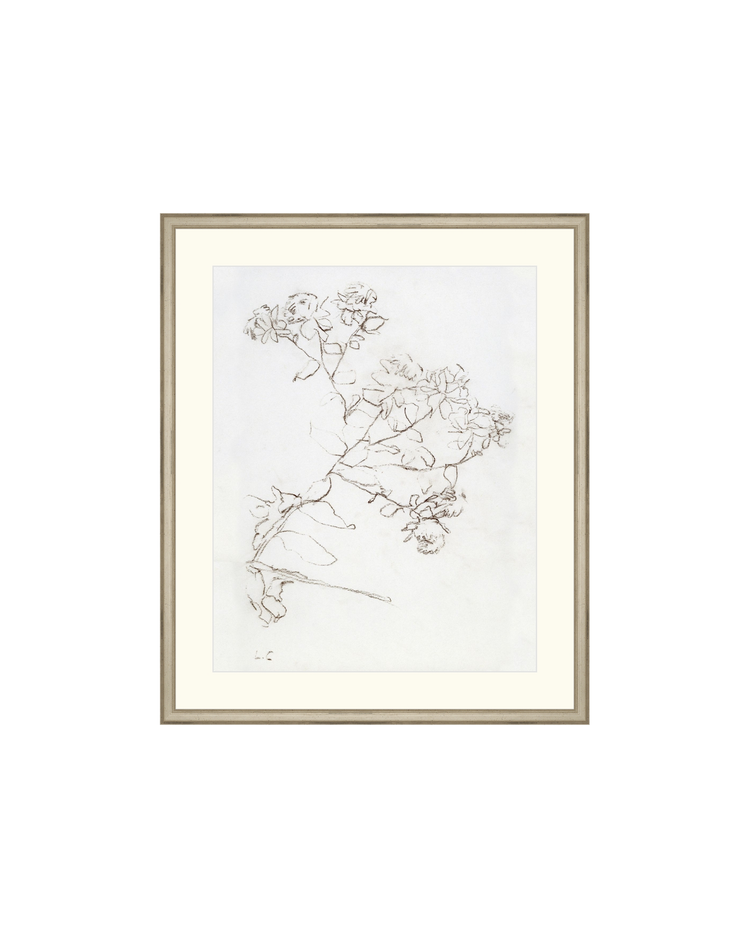 Botanical Study II HoJ