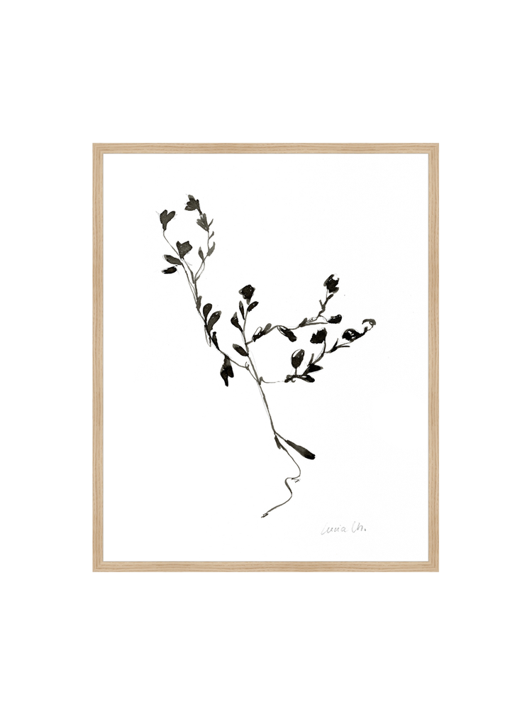 Sketched Botanical HoJ 2