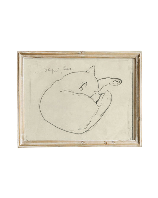 Sleeping Cat