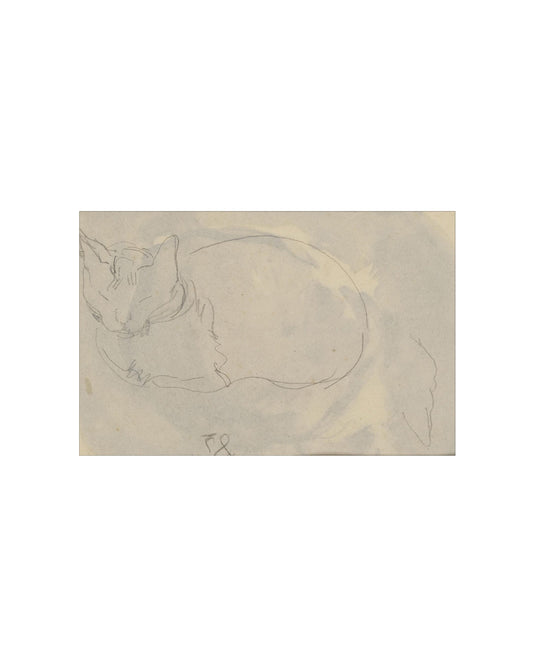 Sleeping Cat III