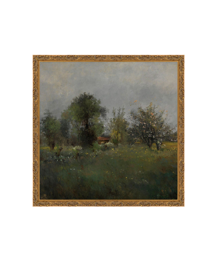 Spring Meadow II