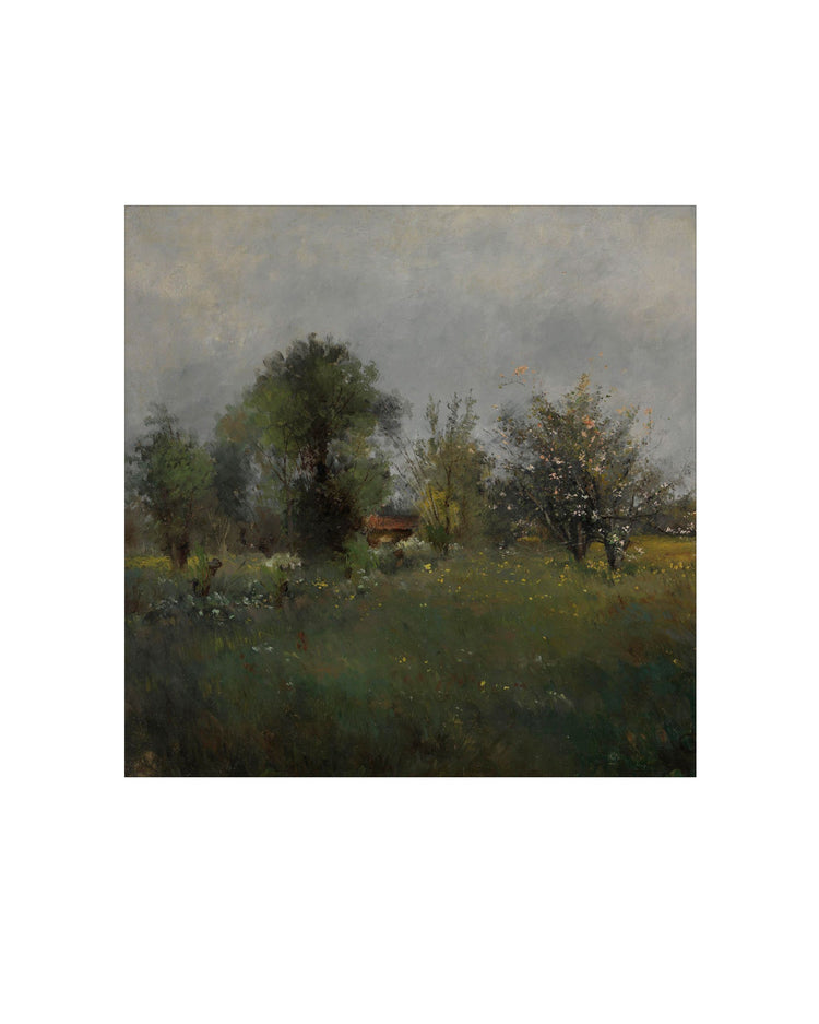 Spring Meadow II