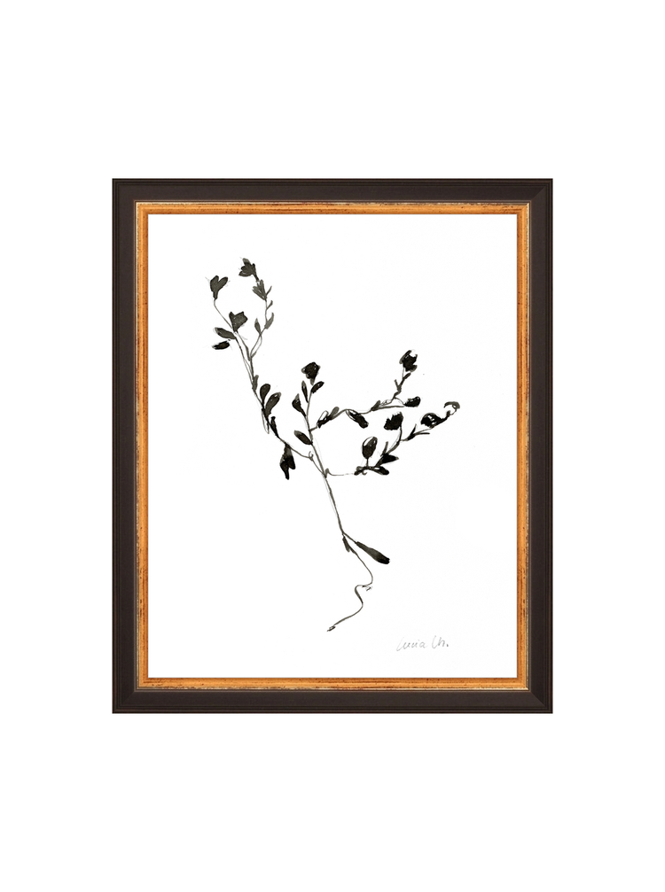 Sketched Botanical HoJ 2