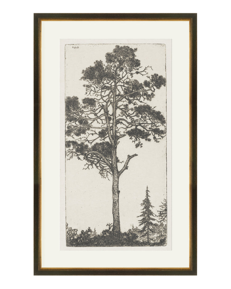 Trees Etching 1