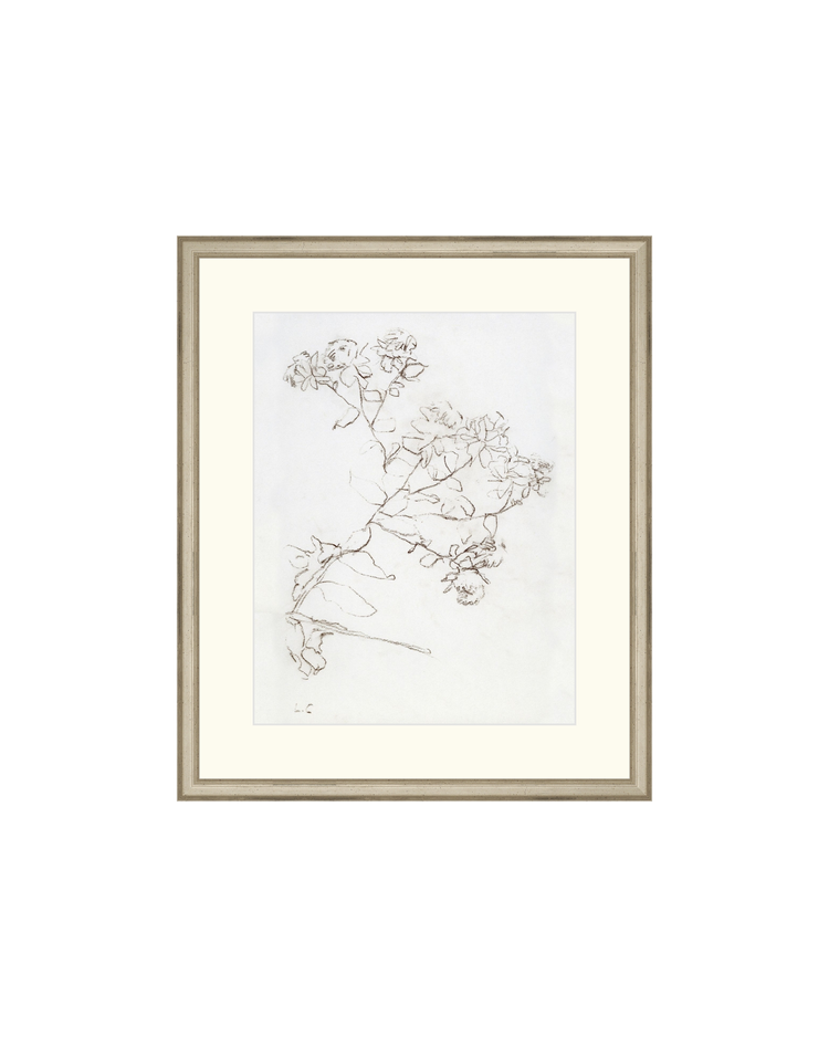 Botanical Study II HoJ