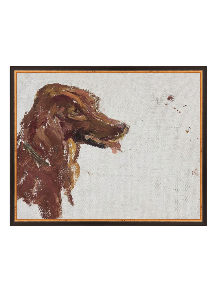 Dog Study HoJ 2