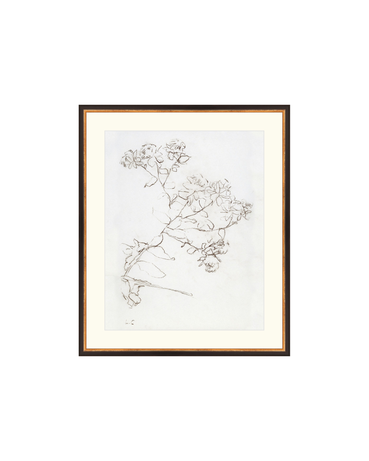 Botanical Study II HoJ