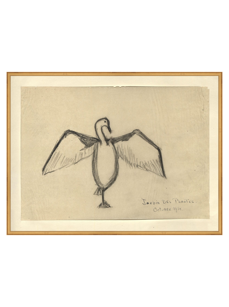 The Great Cormorant HoJ 2