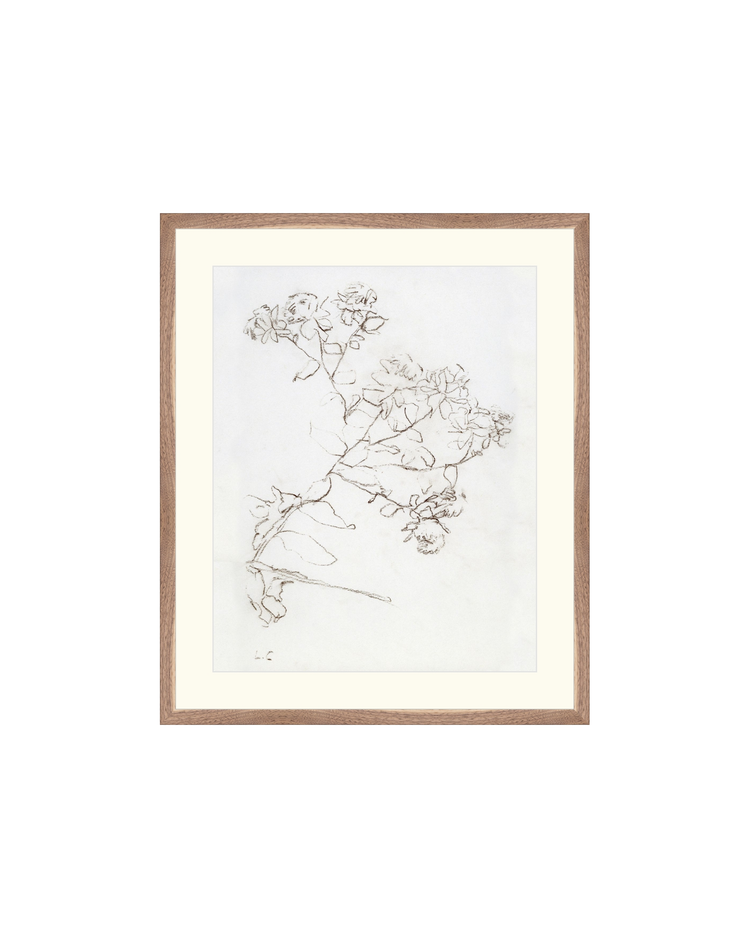 Botanical Study II HoJ