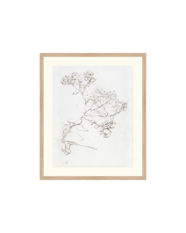 Botanical Study II HoJ