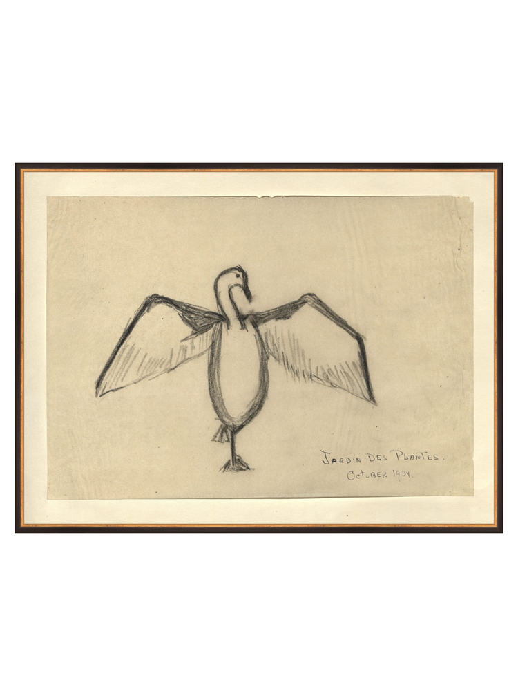 The Great Cormorant HoJ 2