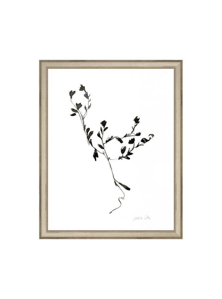 Sketched Botanical HoJ 2