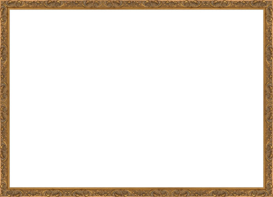 Antique Ornate Gold Frame. Opening Size: 19x27. Final Size: 20'' X 28''