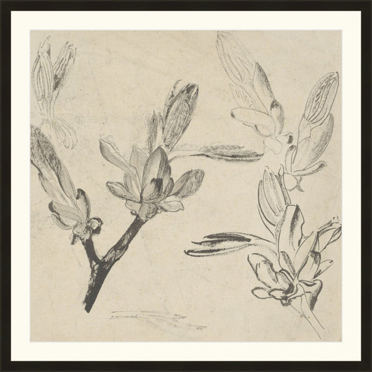 Framed Floral Drawing III. Frame: Just Black. Paper: Rag Paper. Art Size: 22x22. Final Size: 26'' X 26''