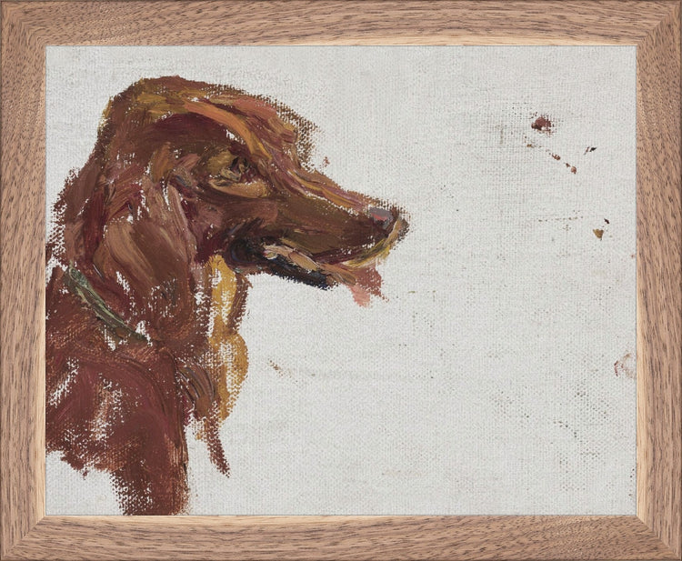 Dog Study HoJ