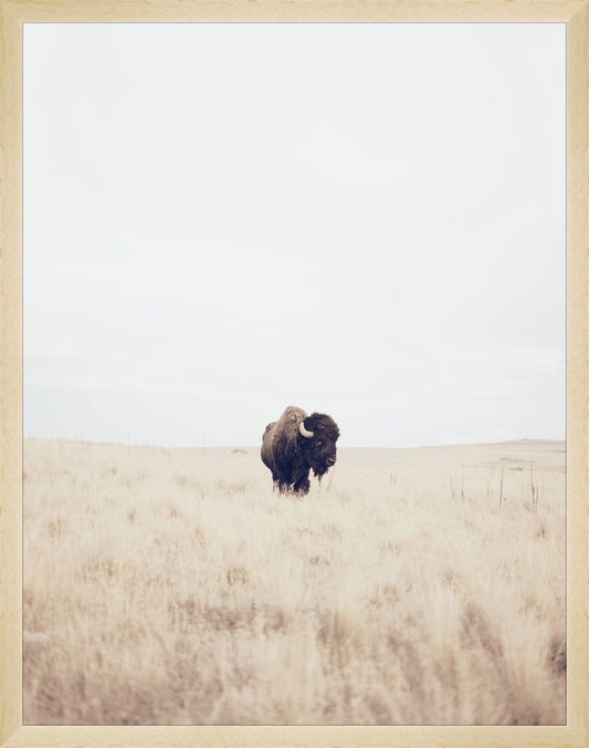 Uploaded Art:BlueBuffalo_3x4.jpg. Frame: Natural Matte Wood. Paper: Smooth Paper. Art Size: 18x14. Final Size: 18'' X 14''