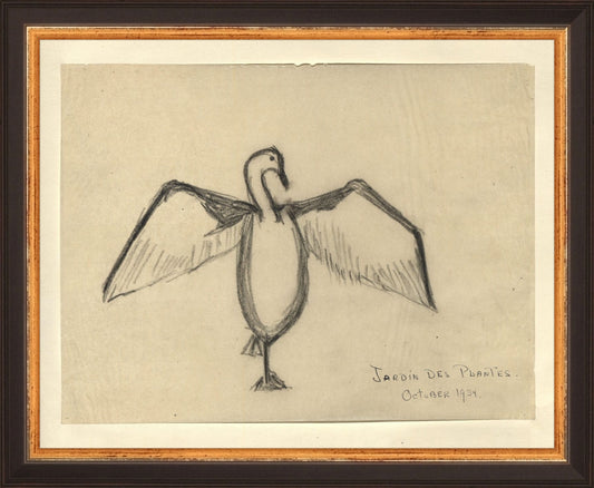 The Great Cormorant HoJ