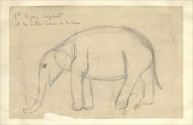 Framed Elephant. Frame: No Frame. Paper: Rag Paper. Art Size: 13x20. Final Size: 13'' X 20''