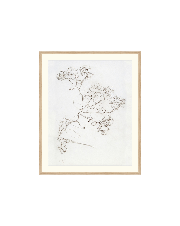 Botanical Study II HoJ