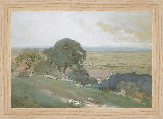 Framed Olivos. Frame: Natural Oak. Paper: Rag Paper. Art Size: 7x10. Final Size: 8'' X 11''