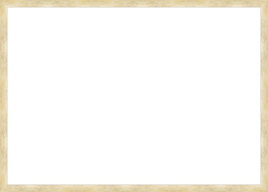 Brushed Gold Frame. Opening Size: 19x27. Final Size: 20'' X 28''