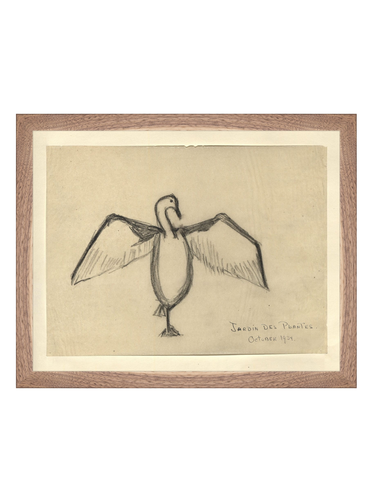 The Great Cormorant HoJ 2