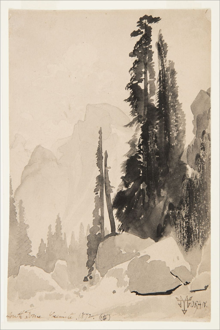 Antique Trees Drawing OAShop 2