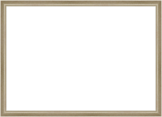 Light Silver Frame. Opening Size: 19x27. Final Size: 20'' X 28''