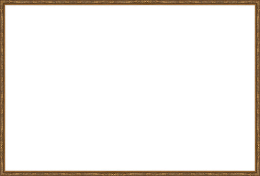 Embellished Antique Gold Frame. Opening Size: 24x36. Final Size: 25'' X 37''