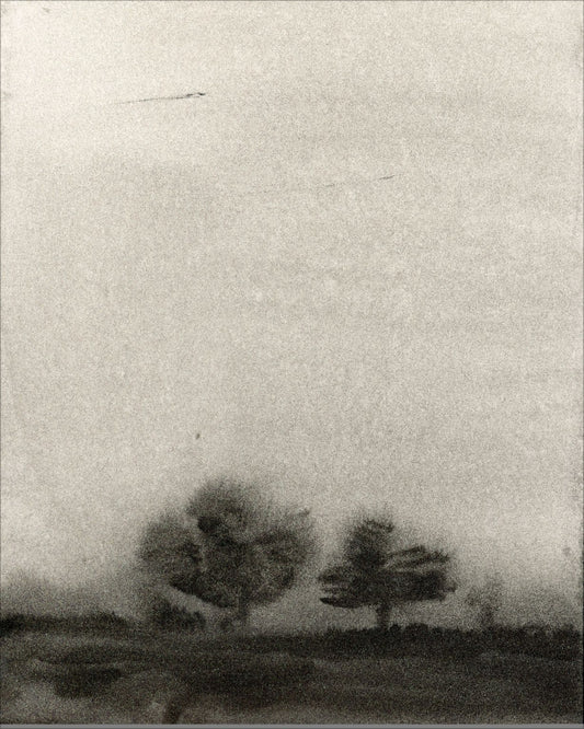 Trees In The Mist OAShop 2