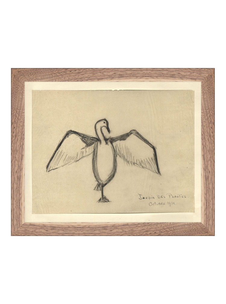 The Great Cormorant HoJ 2