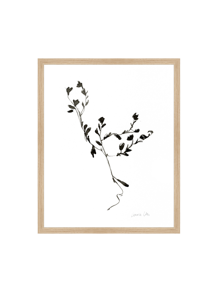 Sketched Botanical HoJ 2