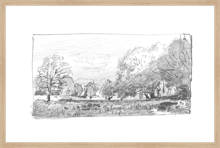 Framed Charcoal Trees 1. Frame: Natural Oak. Paper: Rag Paper. Art Size: 19x29. Final Size: 20'' X 30''