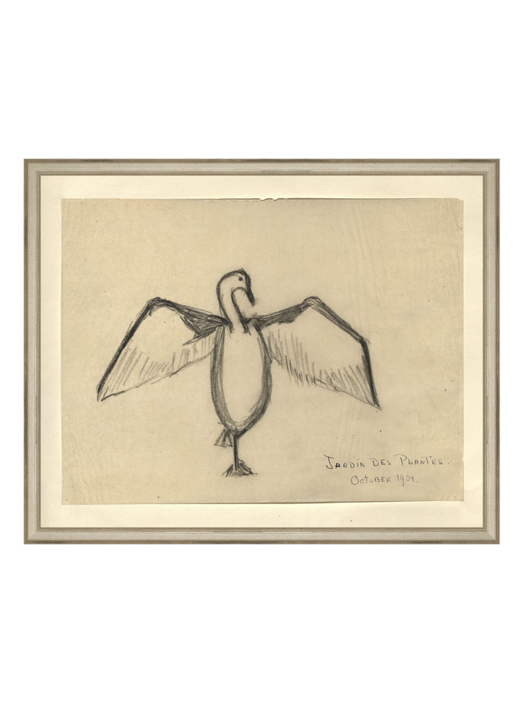 The Great Cormorant HoJ 2