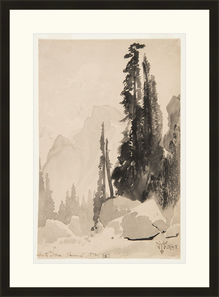 Antique Trees Drawing OAShop 2