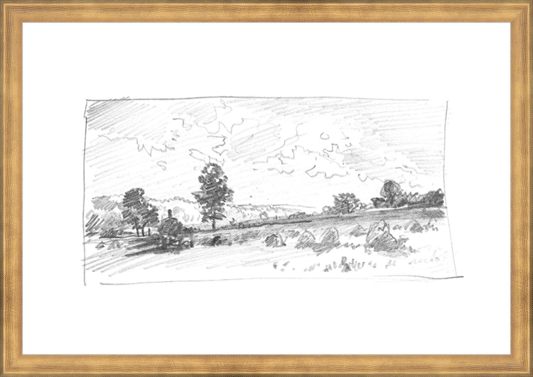 Framed Charcoal Trees 2. Frame: Timeless Gold. Paper: Rag Paper. Art Size: 13x19. Final Size: 14'' X 20''