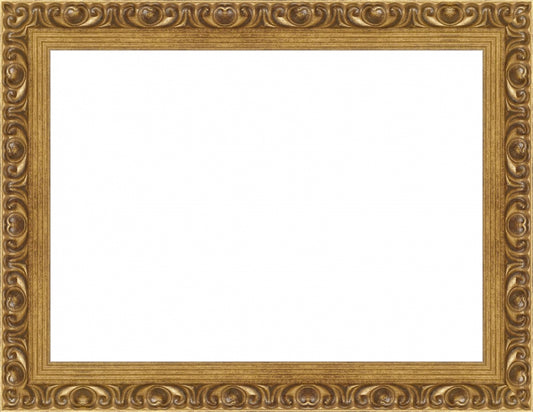 Gold Ornate Frame. Opening Size: 8x11. Final Size: 10'' X 13''