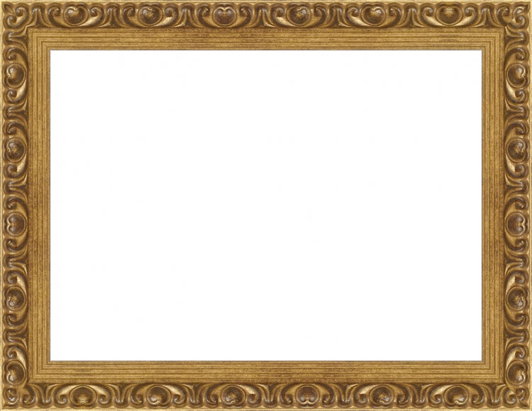 Gold Ornate Frame. Opening Size: 8x11. Final Size: 10'' X 13''