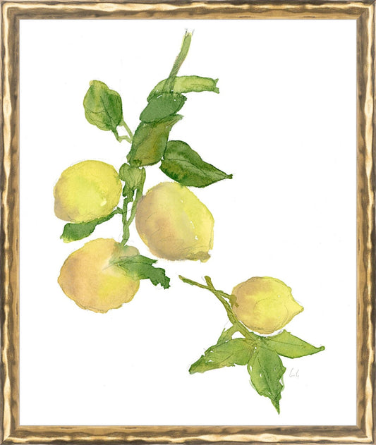 Uploaded Art:Lemon Branch copy 4 5.jpg. Frame: Gold Textured. Paper: Rag Paper. Art Size: 12x10. Final Size: 12'' X 10''